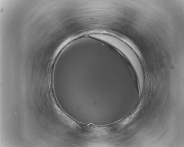 X0000060810958200511141503