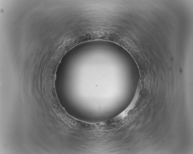 X0000060810961200511141502