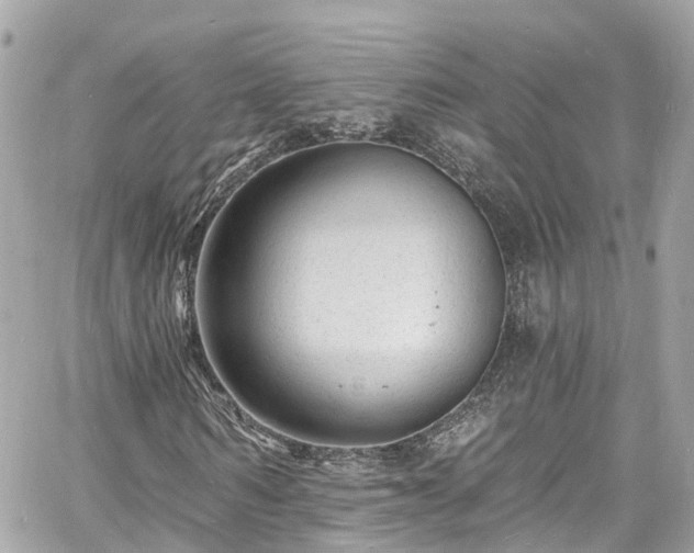 X0000060810962200511141502