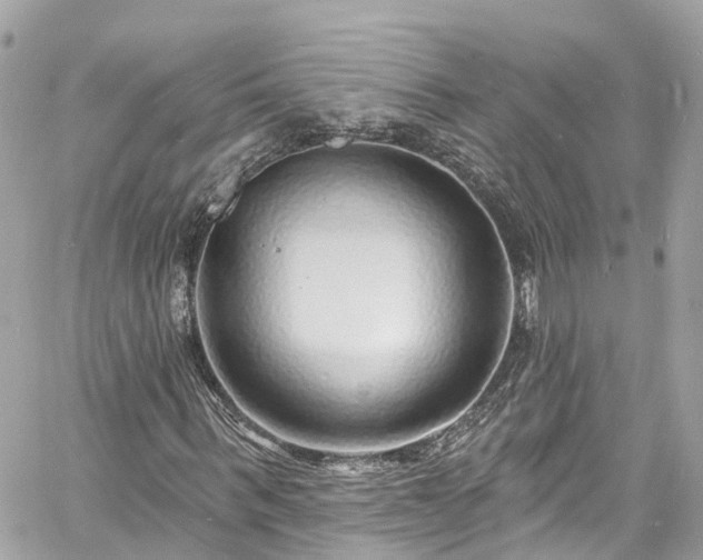 X0000060810963200511141502