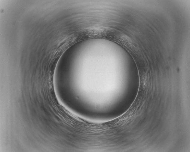 X0000060810964200511141502