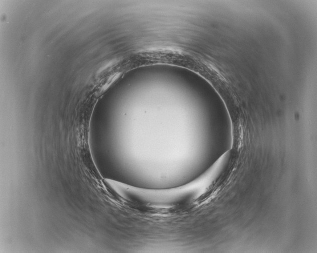 X0000060810965200511141502