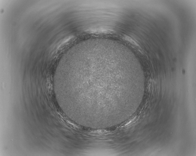 X0000060810966200511141502