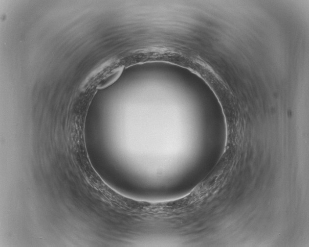 X0000060810967200511141502