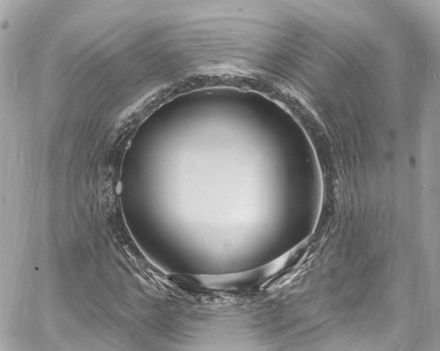 X0000060810968200511141502