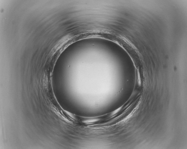 X0000060810969200511141502