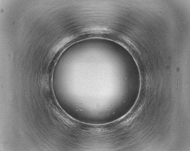 X0000060810970200511141502