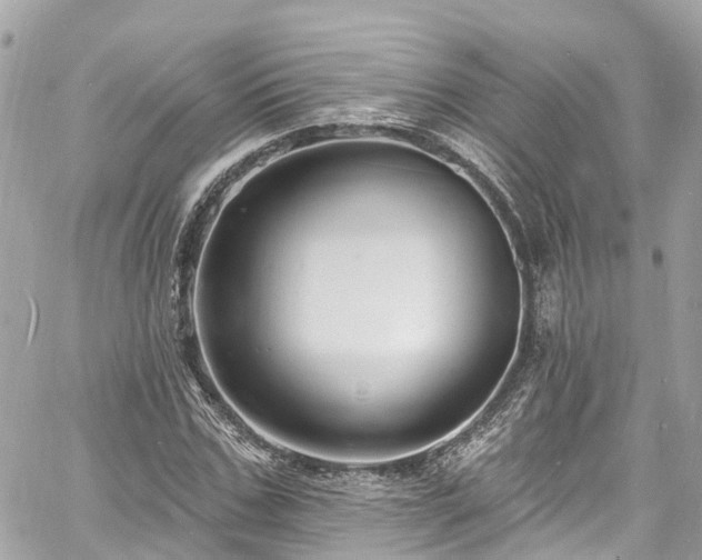 X0000060810971200511141502