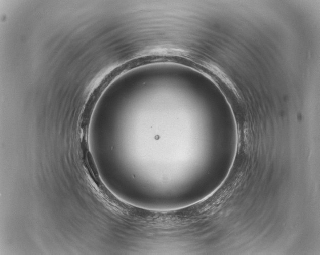 X0000060810972200511141502