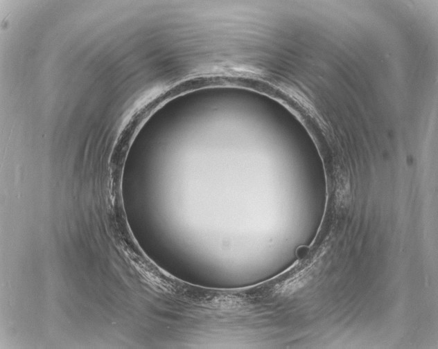 X0000060810974200511141502