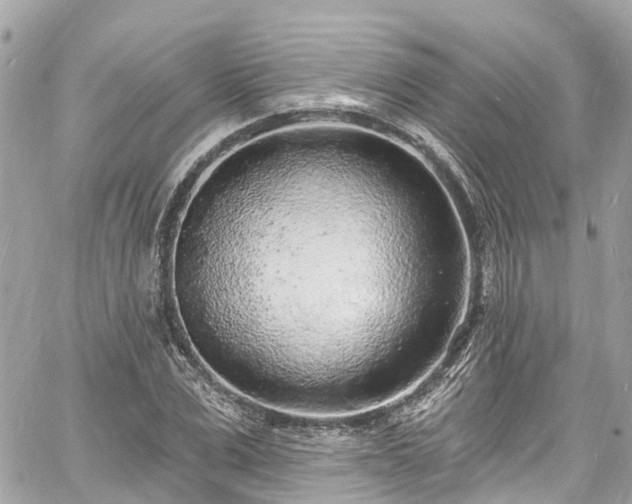 X0000060810975200511141502