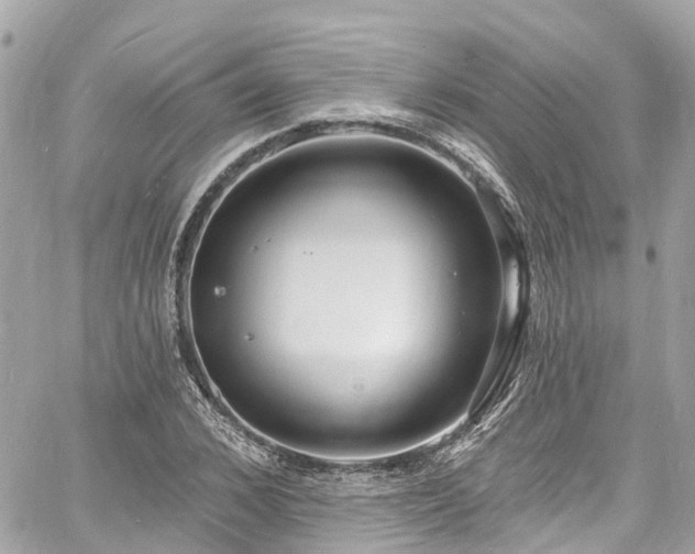 X0000060810976200511141502