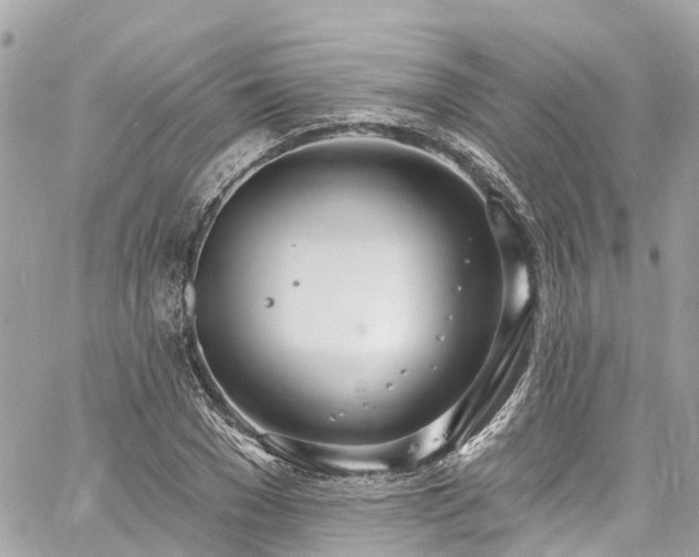 X0000060810977200511141502