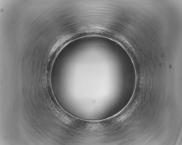 X0000060810978200511141502