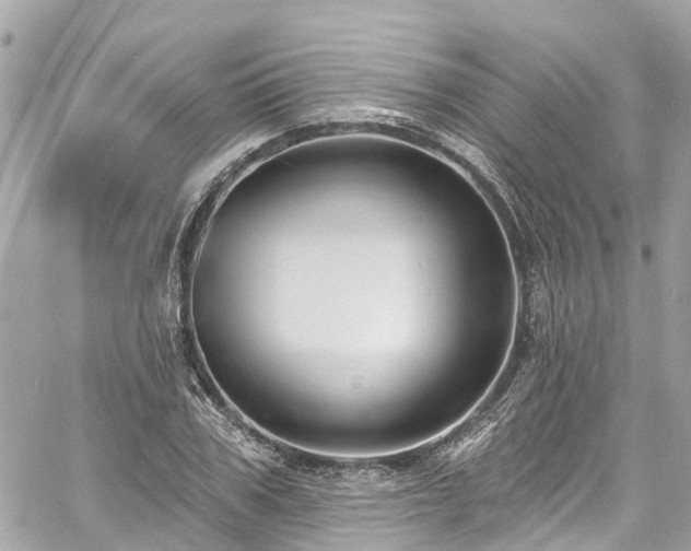 X0000060810979200511141502