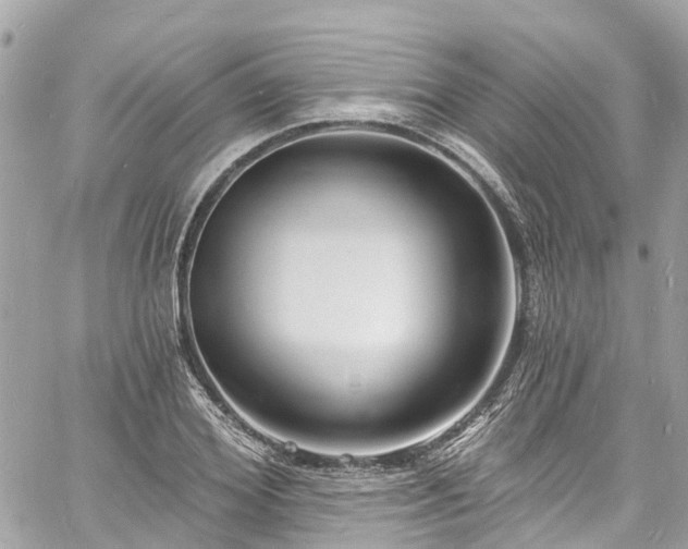 X0000060810980200511141502