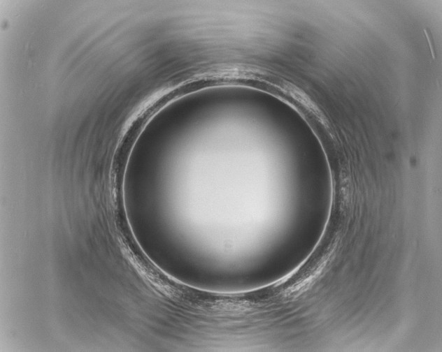 X0000060810981200511141501