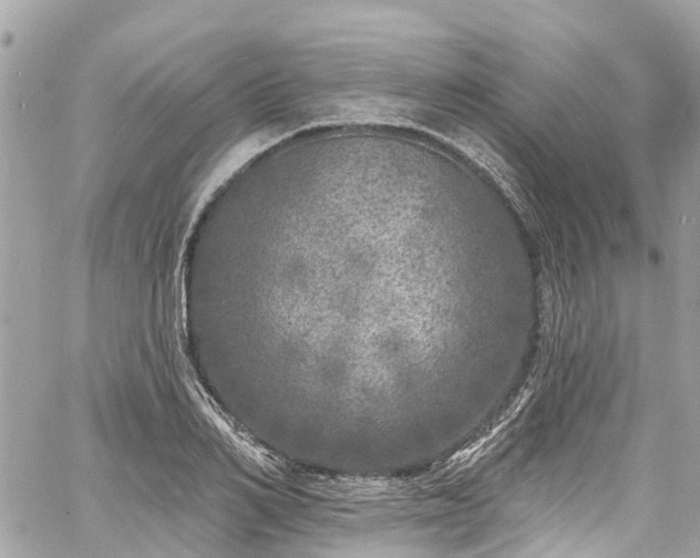 X0000060810982200511141501