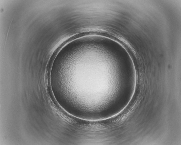 X0000060810983200511141501