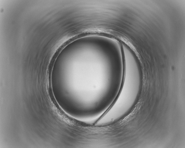 X0000060810984200511141501