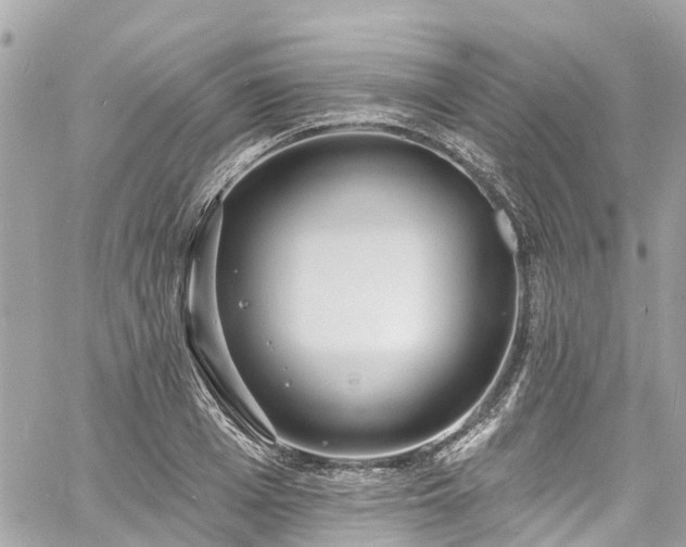 X0000060810985200511141501