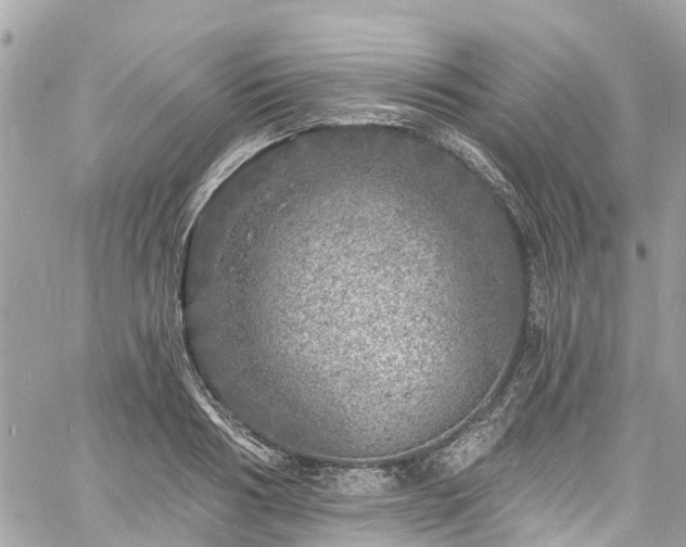 X0000060810986200511141501