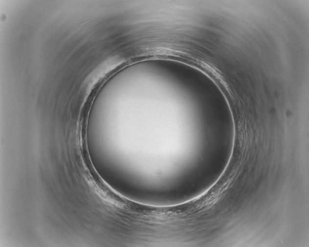 X0000060810987200511141501