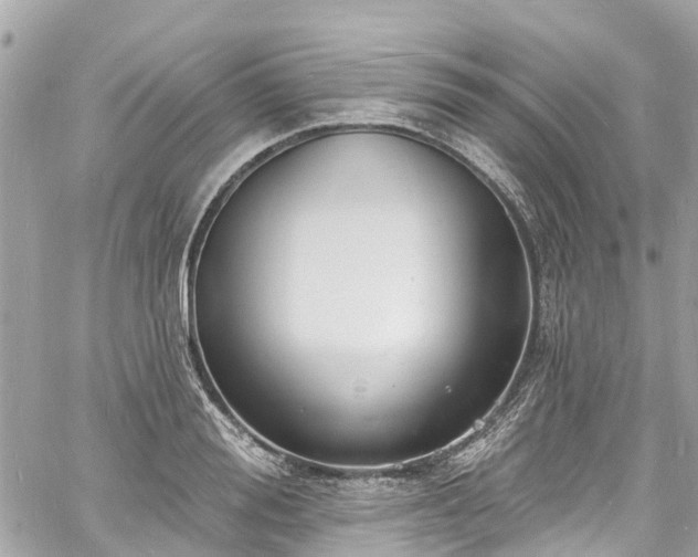 X0000060810988200511141501