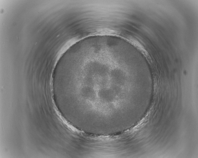 X0000060810990200511141501