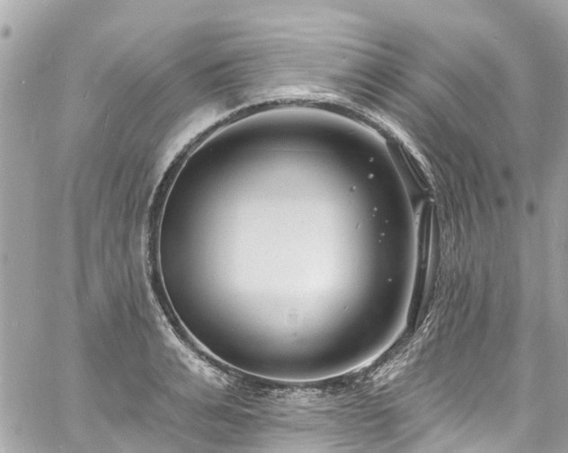 X0000060810991200511141501