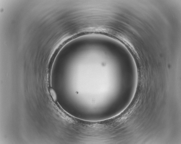 X0000060810992200511141501