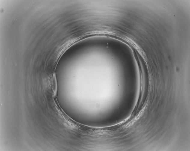 X0000060810993200511141501