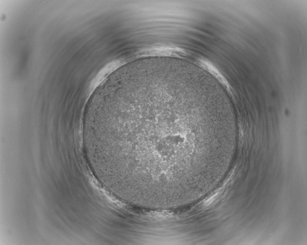 X0000060810994200511141501