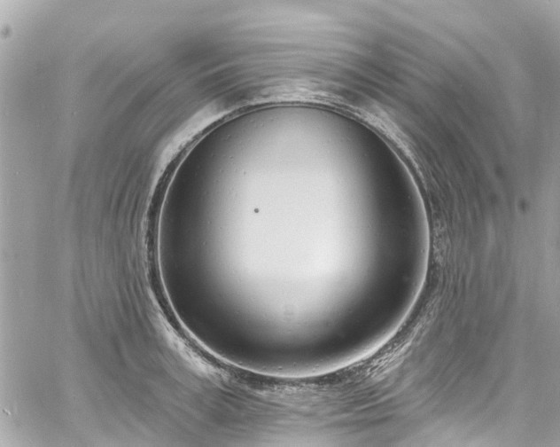 X0000060810995200511141501