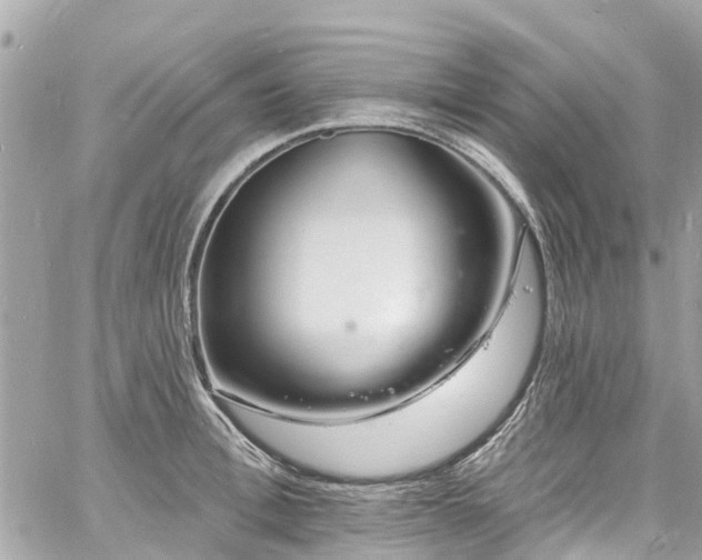 X0000060810996200511141501