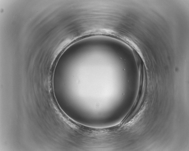 X0000060810997200511141501