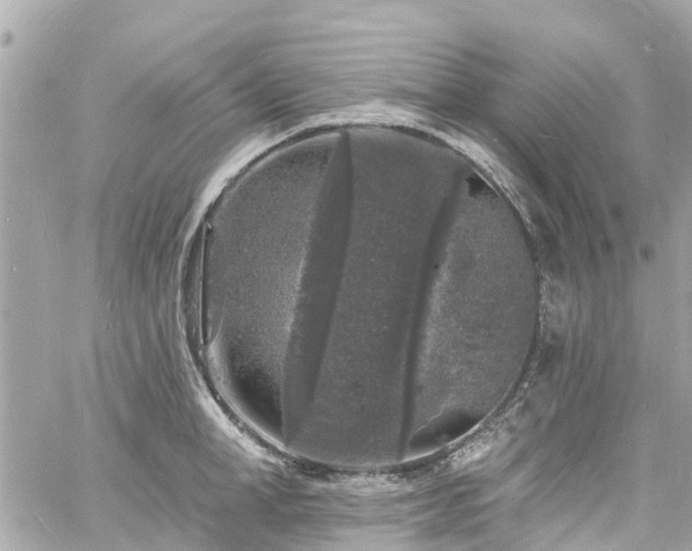 X0000060810998200511141501