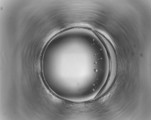 X0000060810999200511141501