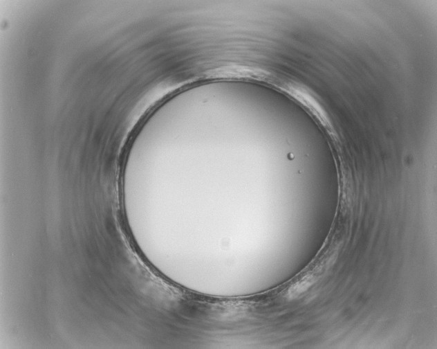 X0000060811000200511141501