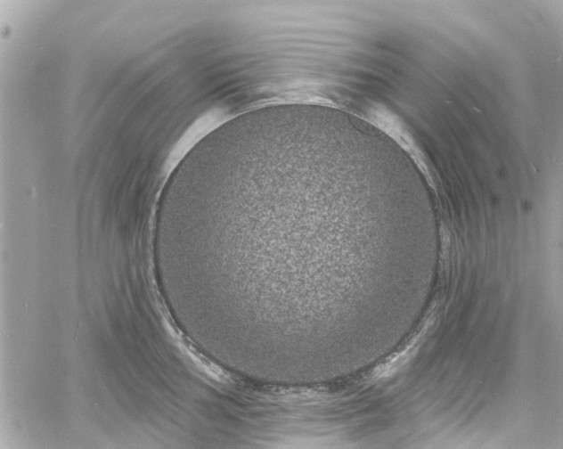 X0000060811002200511141501