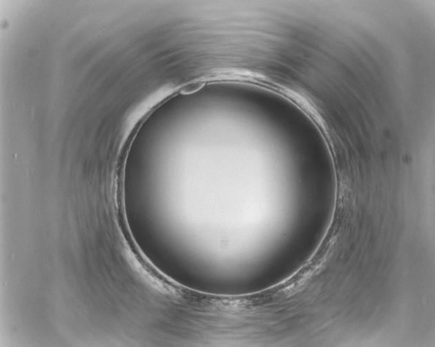 X0000060811003200511141501