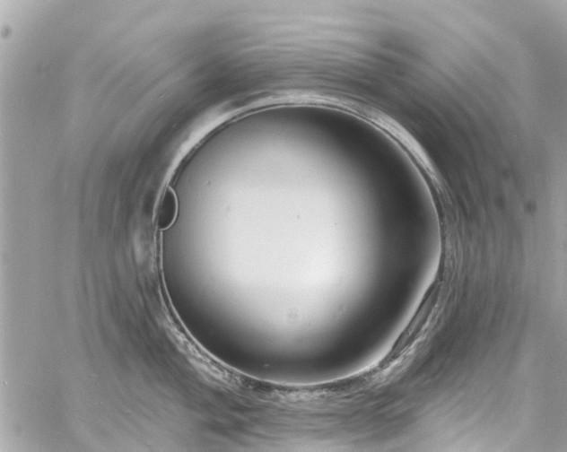 X0000060811004200511141501