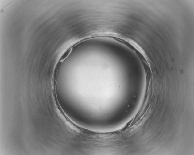 X0000060811005200511141501