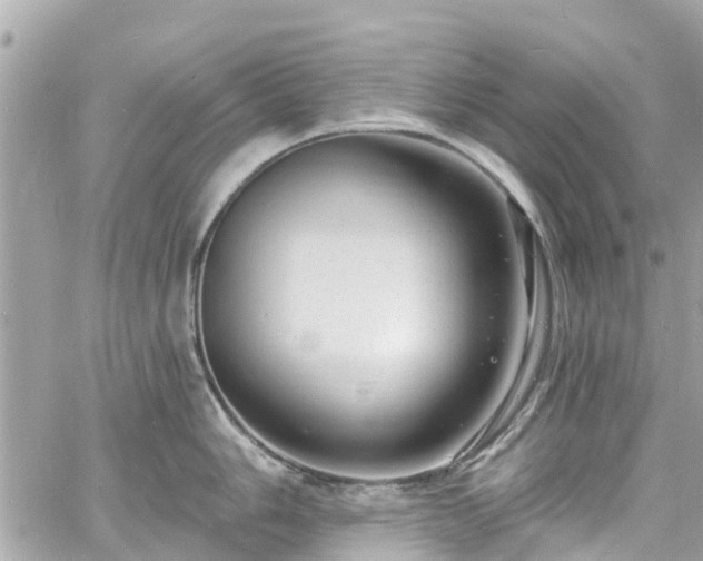 X0000060811006200511141501