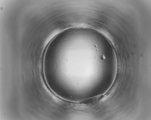 X0000060811007200511141501