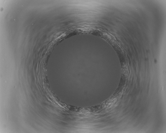 X0000060811009200511141500