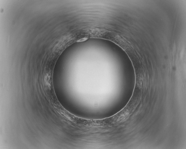 X0000060811010200511141500