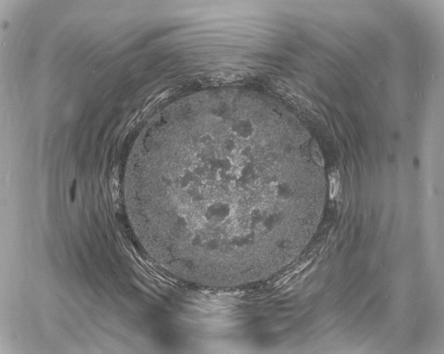 X0000060811011200511141500