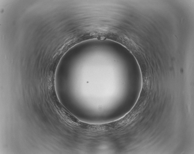 X0000060811012200511141500