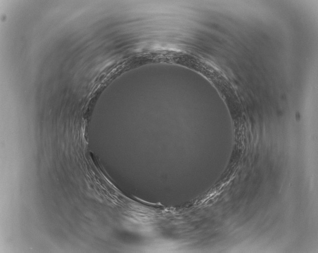 X0000060811013200511141500